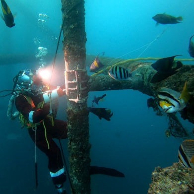 Diving Company South Africa