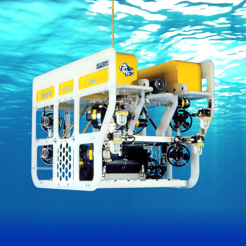 Diving Company South Africa